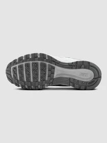 Кросівки NIKE P-6000 Gs модель HV5064-103 Фото