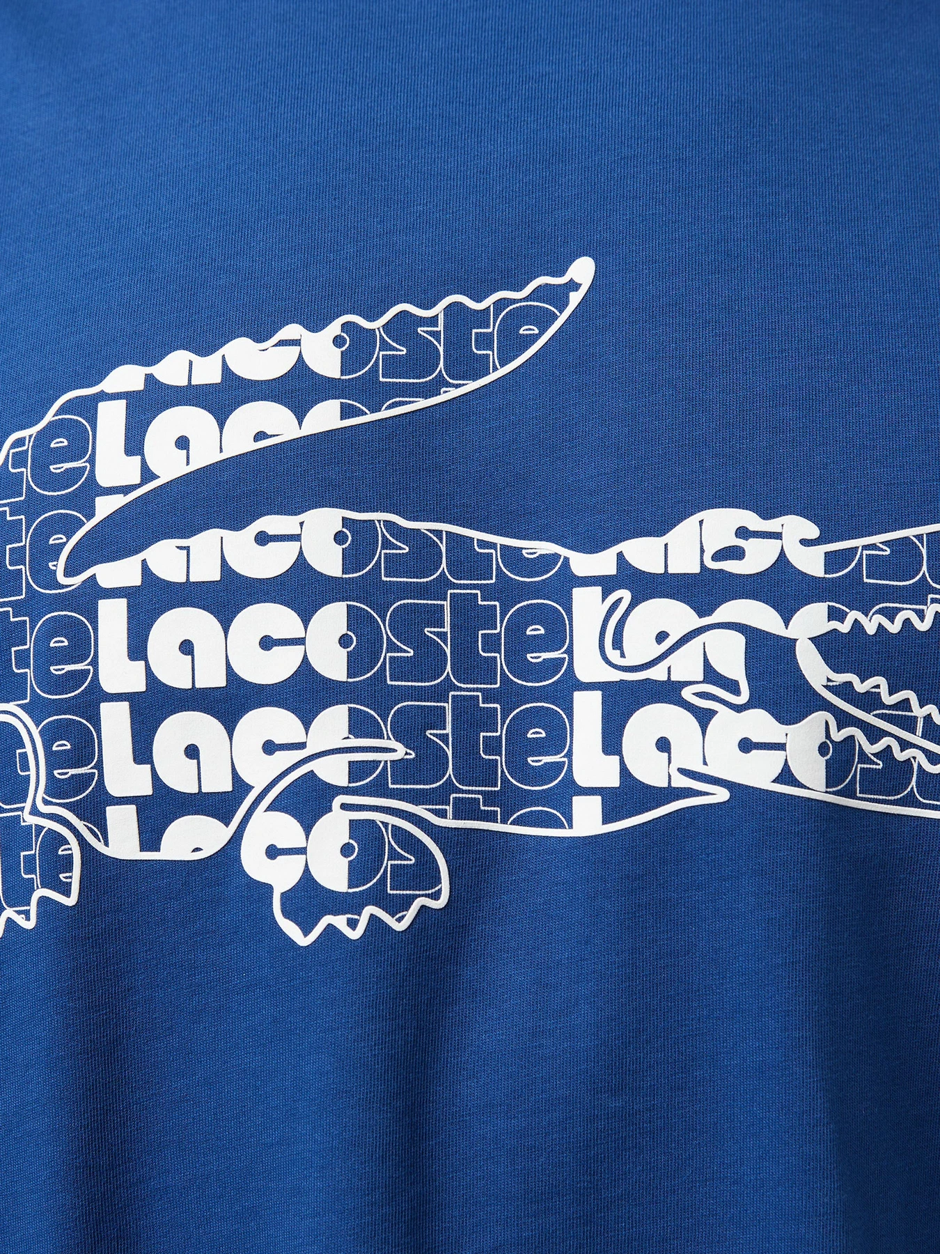 Футболки и поло Lacoste модель TH0415HBM Фото