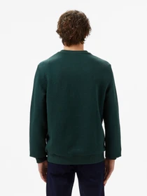 Худи и свитшоты Lacoste модель TH233333Y Фото