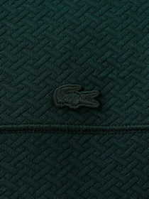 Худи и свитшоты Lacoste модель TH233333Y Фото