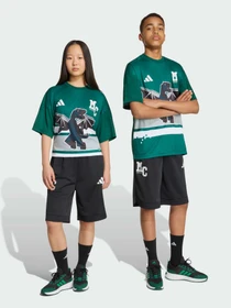 Шорти Adidas модель KH3204 Фото