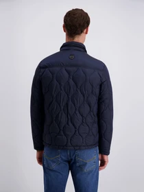 Куртки та дублянки Pierre Cardin модель PC-C8 10263.0147.6325 Фото