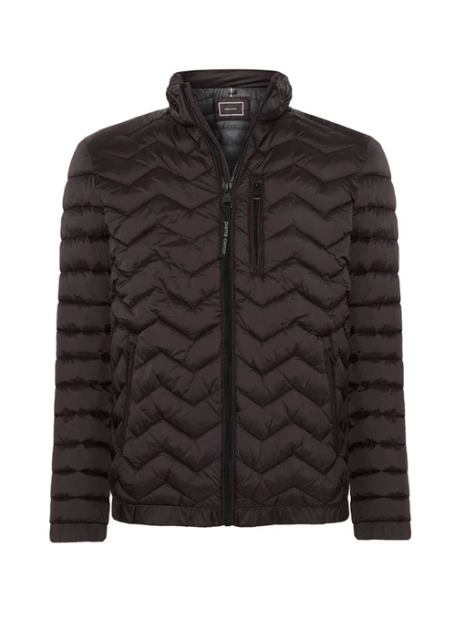 Куртки та дублянки Pierre Cardin модель PC-C8 10261.0147.8320 Фото
