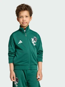Худи и свитшоты Adidas модель KH3198 Фото