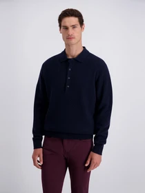 Светри та кардигани Pierre Cardin модель PC-C5 52464.5188.6325 Фото