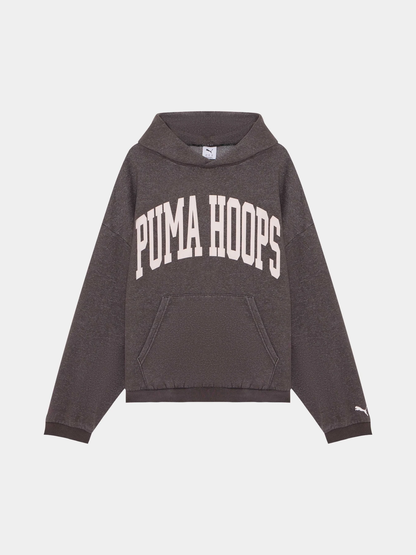 Худі та світшоти PUMA Back To Hoops Hoodie Fl модель 637552 Фото