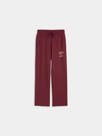 Штани PUMA Varsity Fl Pants G модель 697074 Фото