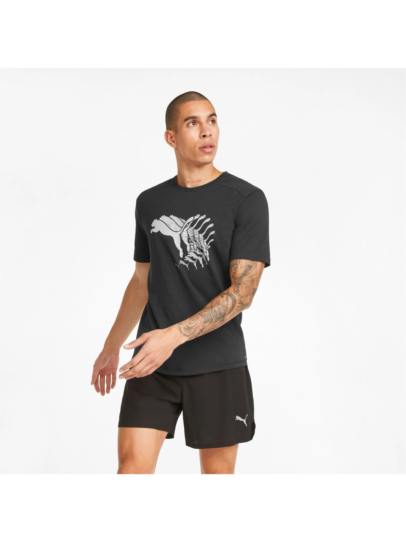 Футболки и поло PUMA модель 521401 Футболки и поло PUMA модель 521401 Фото