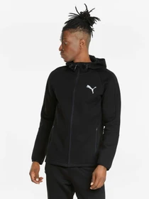 Худи и свитшоты PUMA Evostripe Fz Hoodie модель 589424 Фото