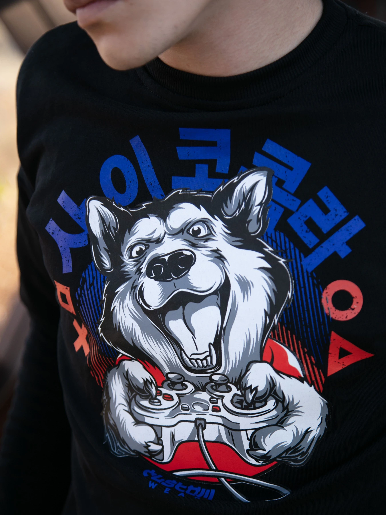 Худи и свитшоты Custom Wear модель cw-swe-2910 Худи и свитшоты Custom Wear модель cw-swe-2910 Фото