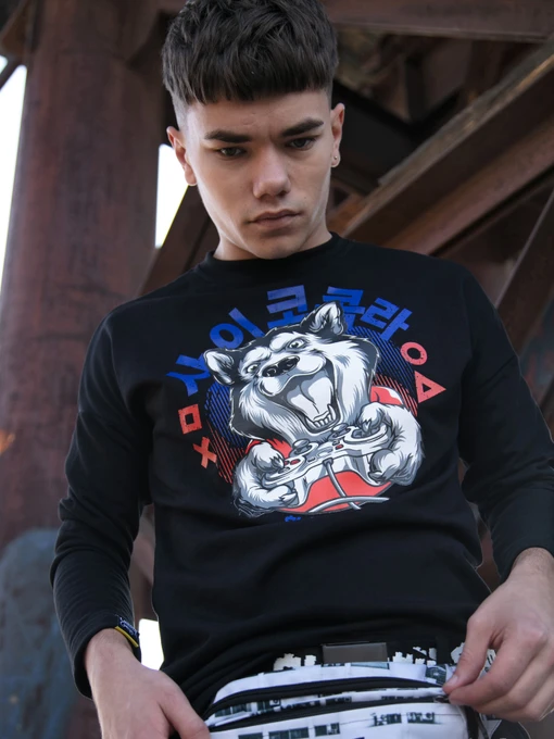 Худи и свитшоты Custom Wear модель cw-swe-2910 Фото