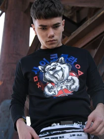 Худи и свитшоты Custom Wear модель cw-swe-2910 Фото