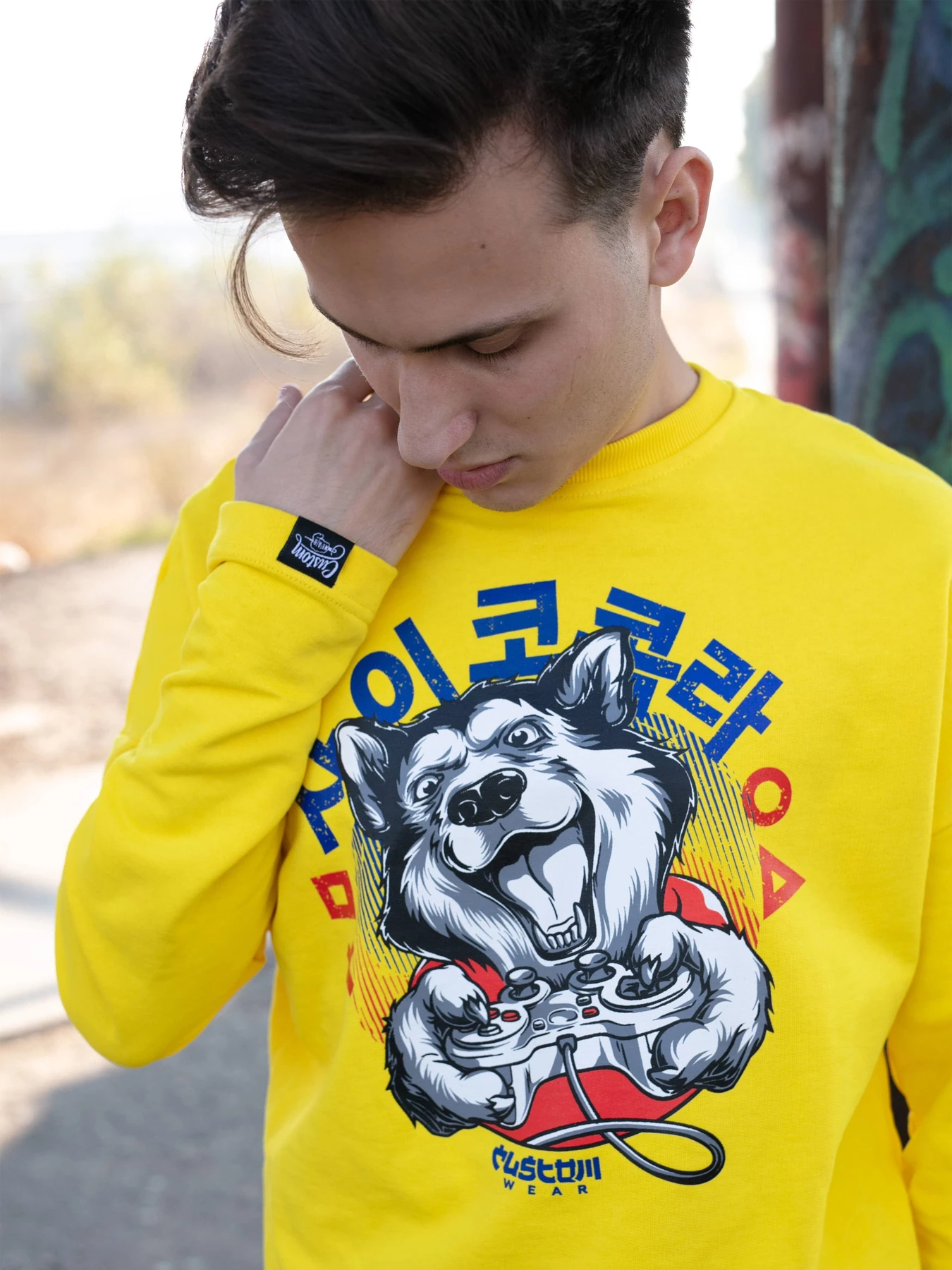 Худи и свитшоты Custom Wear модель cw-swe-3746 Фото