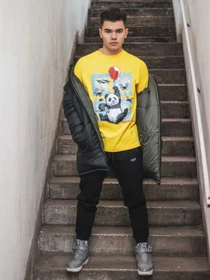 Худи и свитшоты Custom Wear модель cw-swe-9277 Фото