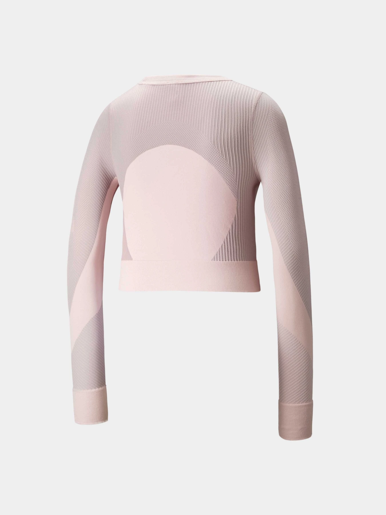 Худі та світшоти PUMA Train Seamless Fitted Ls модель 521029 Худі та світшоти PUMA Train Seamless Fitted Ls модель 521029 Фото