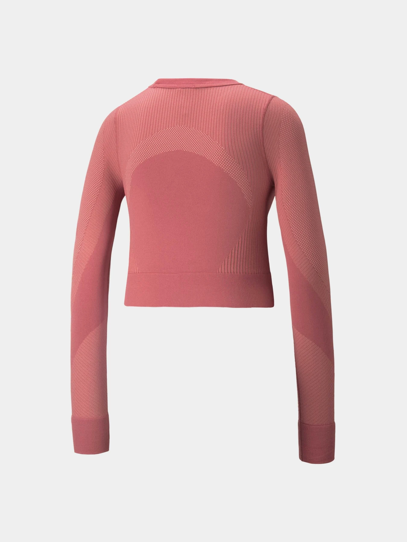Худи и свитшоты PUMA Train Seamless Fitted Ls модель 521029 Худи и свитшоты PUMA Train Seamless Fitted Ls модель 521029 Фото