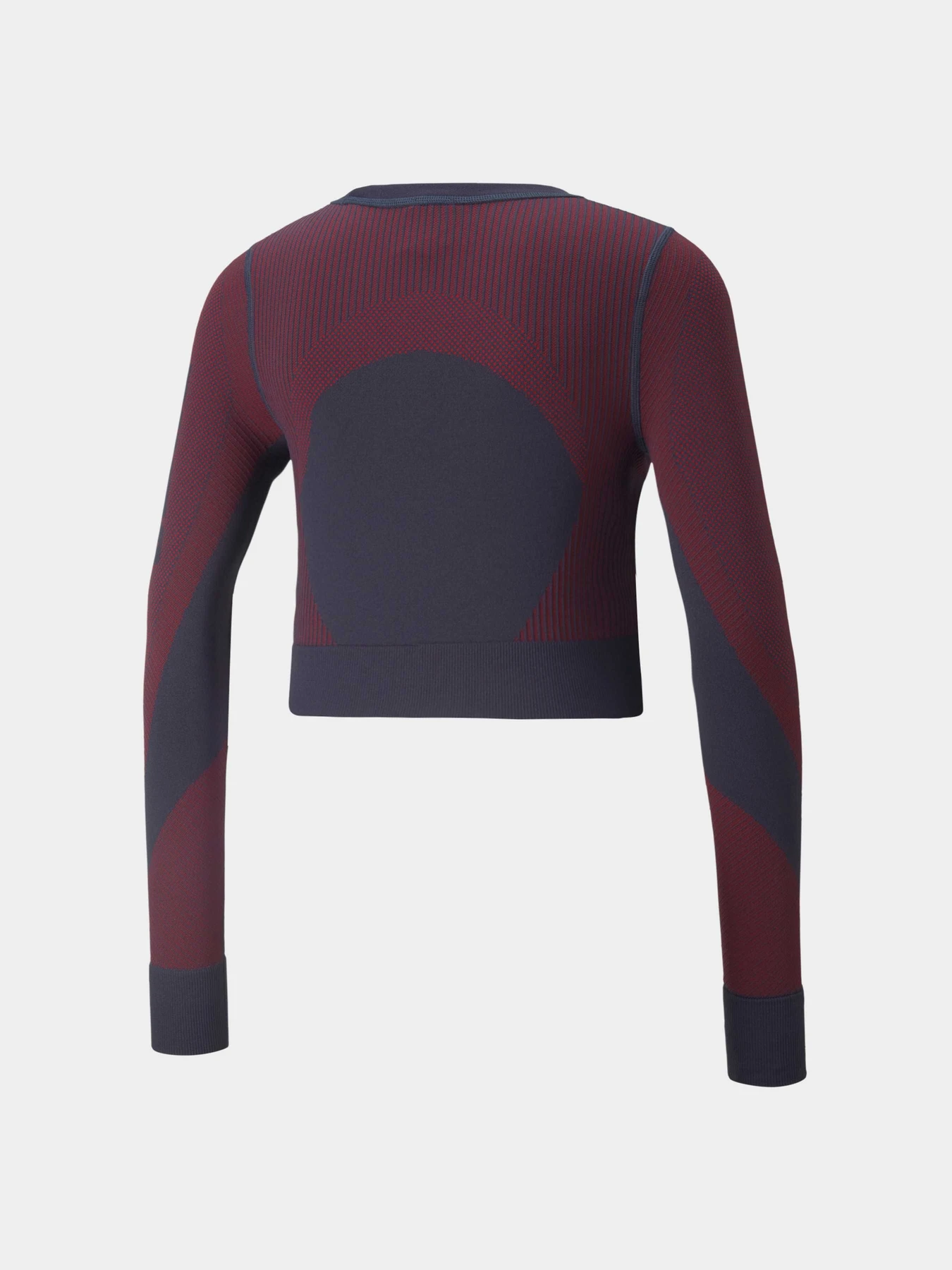 Худи и свитшоты PUMA Train Seamless Fitted Ls модель 521029 Худи и свитшоты PUMA Train Seamless Fitted Ls модель 521029 Фото