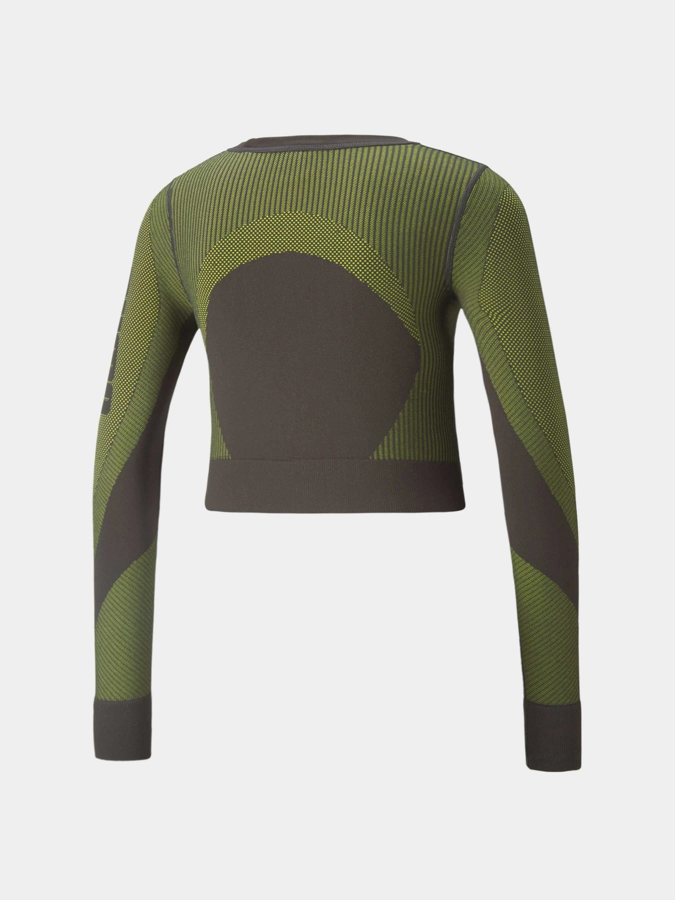 Худи и свитшоты PUMA Train Seamless Fitted Ls модель 521029 Худи и свитшоты PUMA Train Seamless Fitted Ls модель 521029 Фото