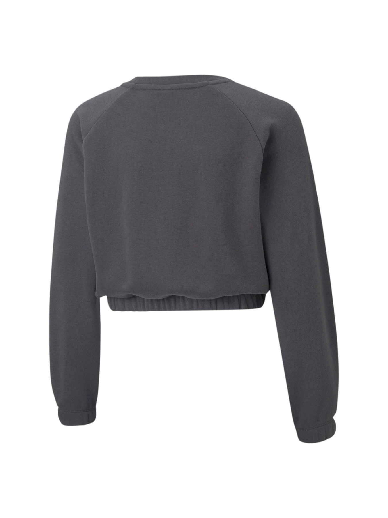 Худи и свитшоты PUMA Grl Cropped Crew модель 533394 Фото