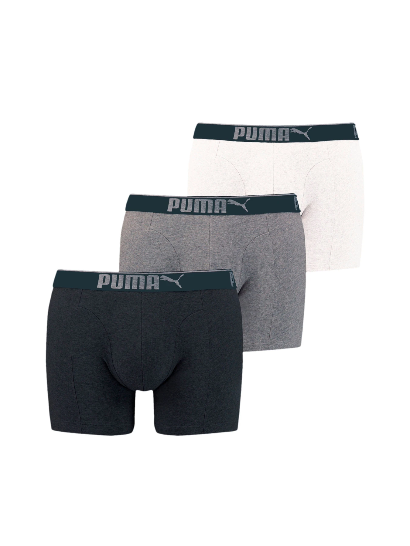 Нижнее белье PUMA модель 935032 Фото