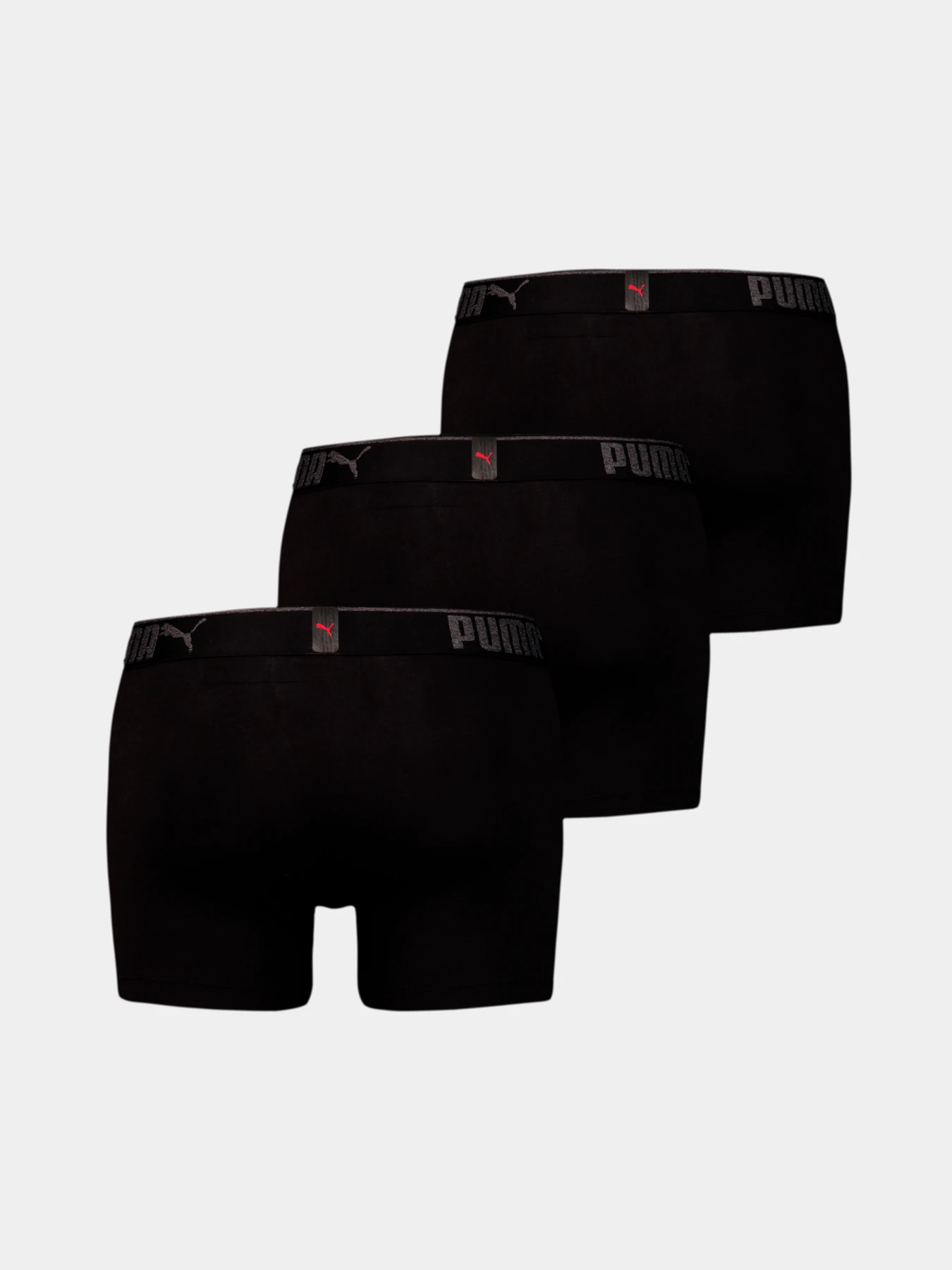 Нижнее белье PUMA Premium Sueded Cotton B модель 935032 Нижнее белье PUMA Premium Sueded Cotton B модель 935032 Фото