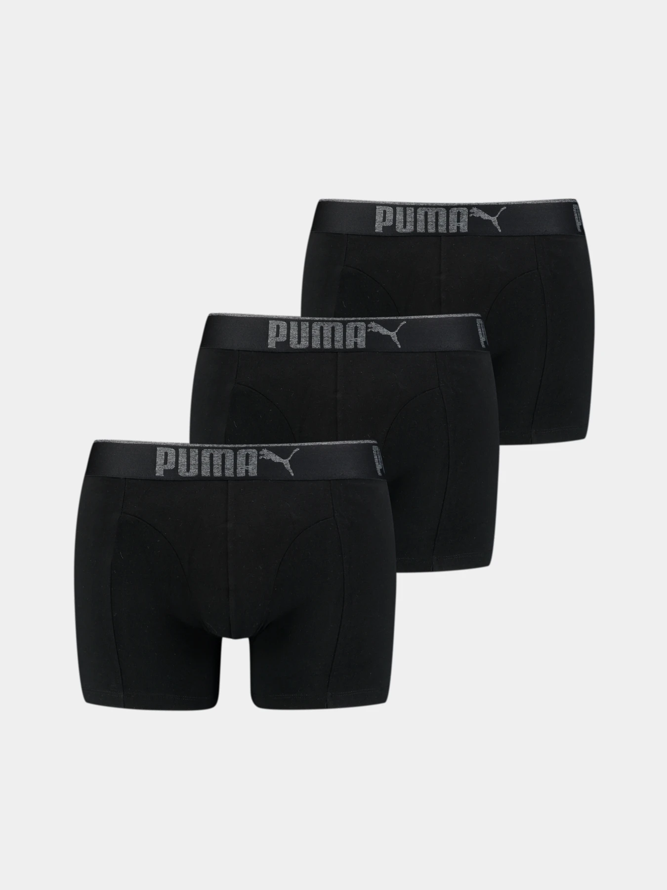 Нижнее белье PUMA Premium Sueded Cotton B модель 935032 Нижнее белье PUMA Premium Sueded Cotton B модель 935032 Фото
