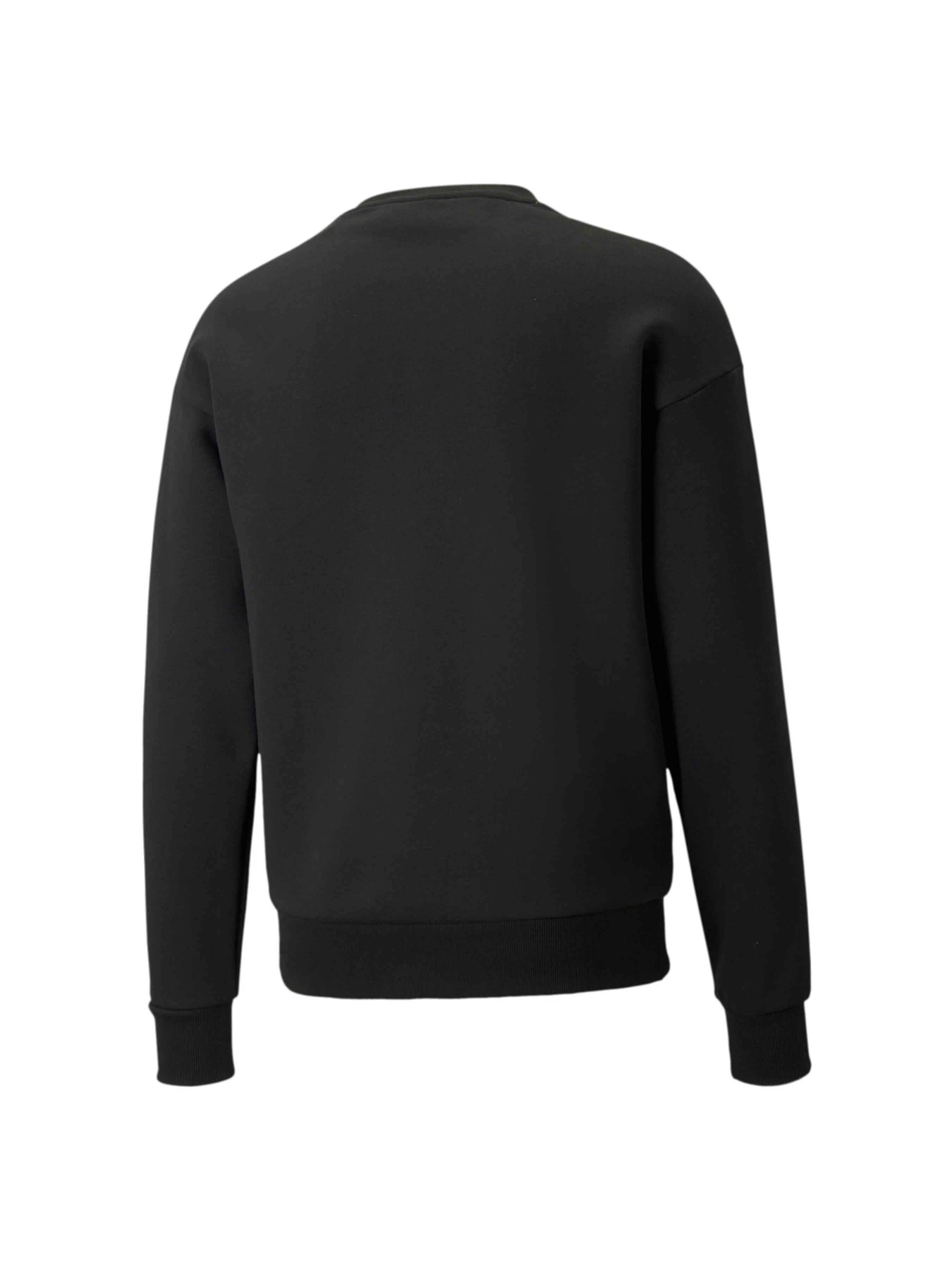 Худі та світшоти PUMA Protec.t Crew модель 534321 Худі та світшоти PUMA Protec.t Crew модель 534321 Фото