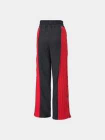Брюки PUMA Diggins Breakaway Pant модель 532498 Фото