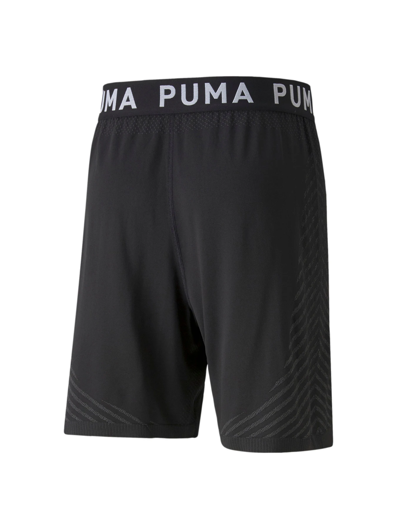Шорты PUMA модель 521559 Шорты PUMA модель 521559 Фото