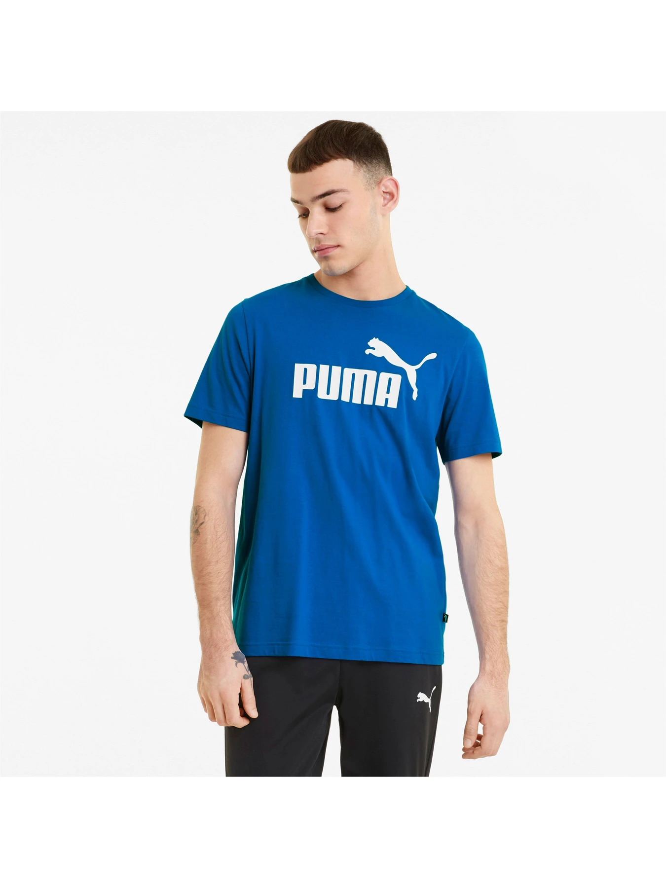 Футболки и поло PUMA модель 586666 Футболки и поло PUMA модель 586666 Фото