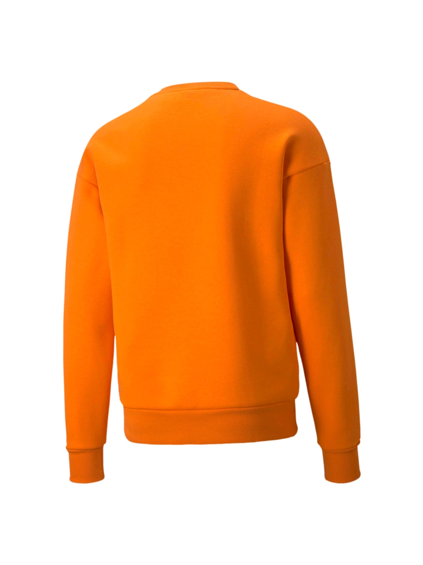 Худі та світшоти PUMA Protec.t Crew модель 534321 Худі та світшоти PUMA Protec.t Crew модель 534321 Фото