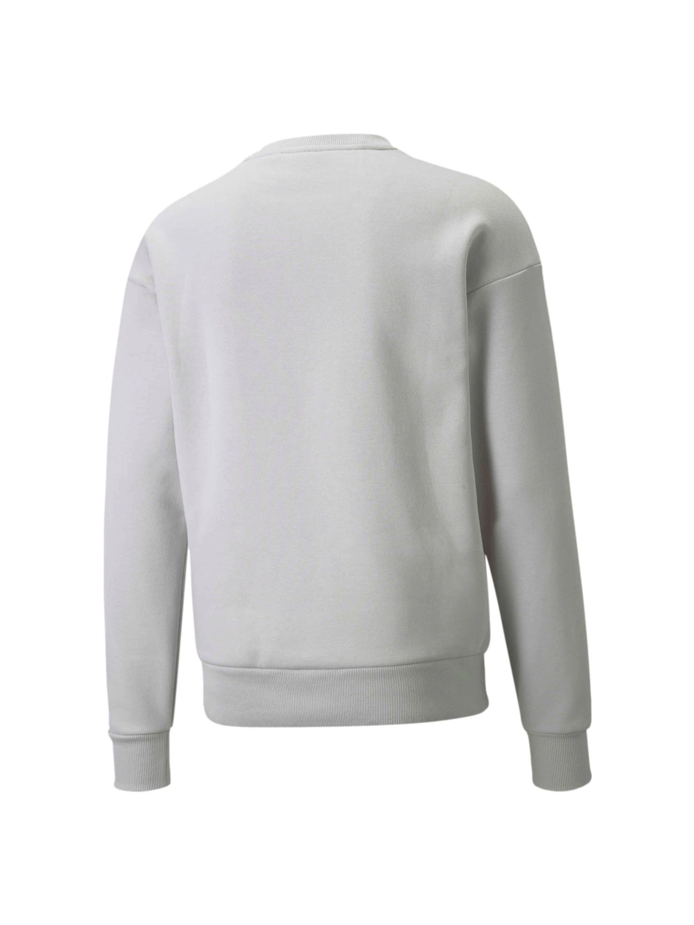 Худі та світшоти PUMA Protec.t Crew модель 534321 Худі та світшоти PUMA Protec.t Crew модель 534321 Фото