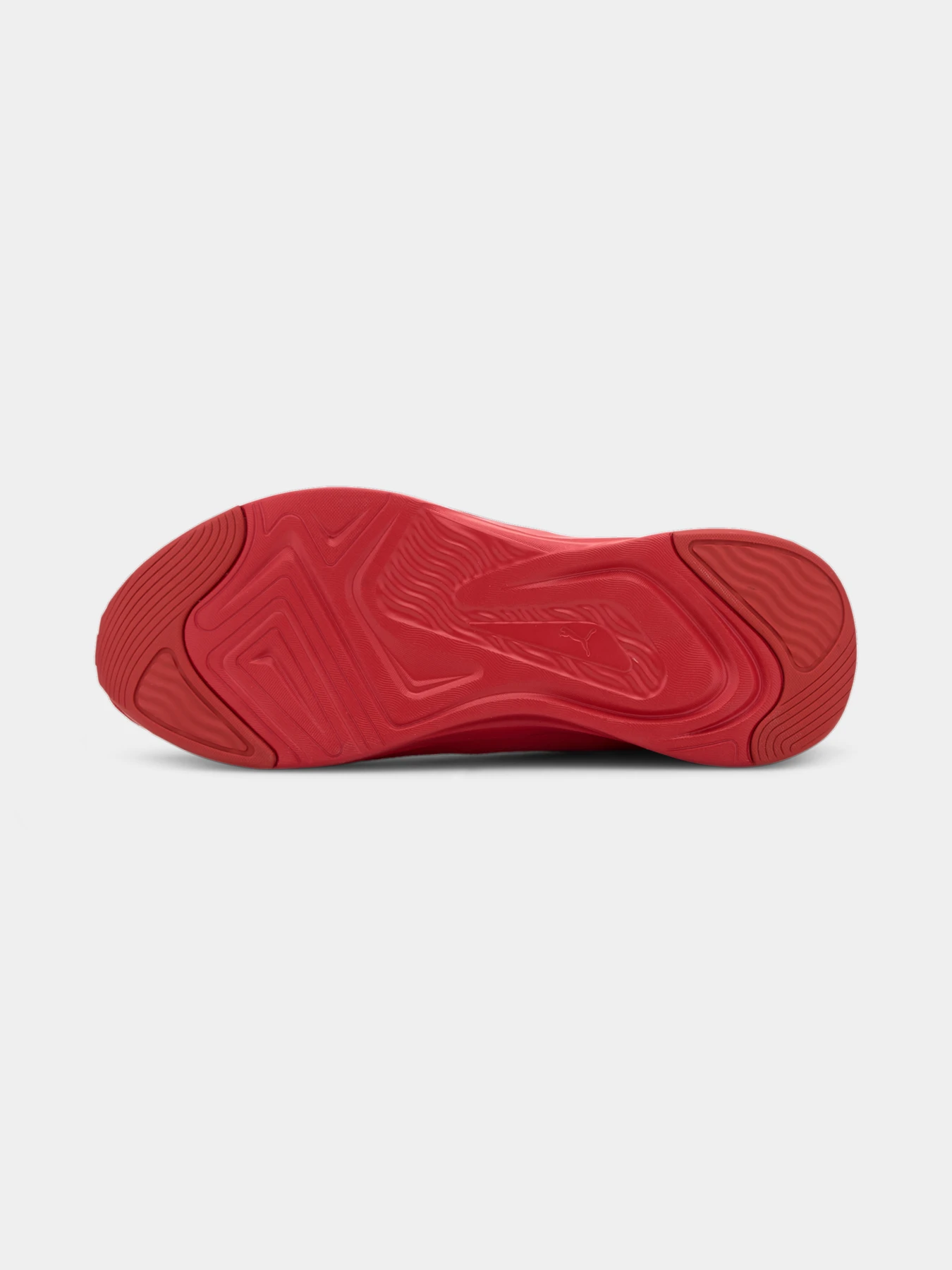 Кросівки PUMA модель 193733 Фото