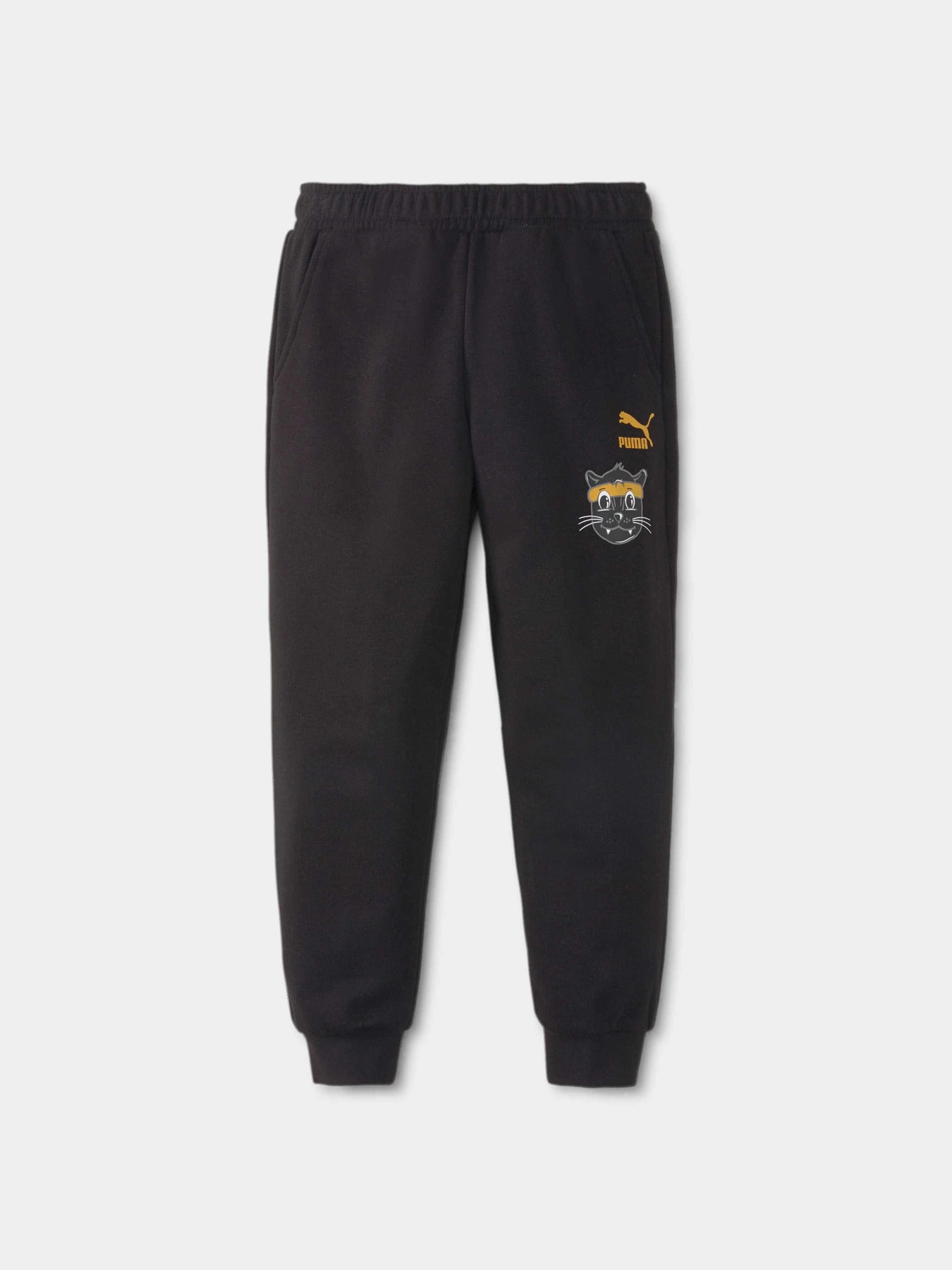 Брюки PUMA Lil Sweatpants модель 531796 Фото