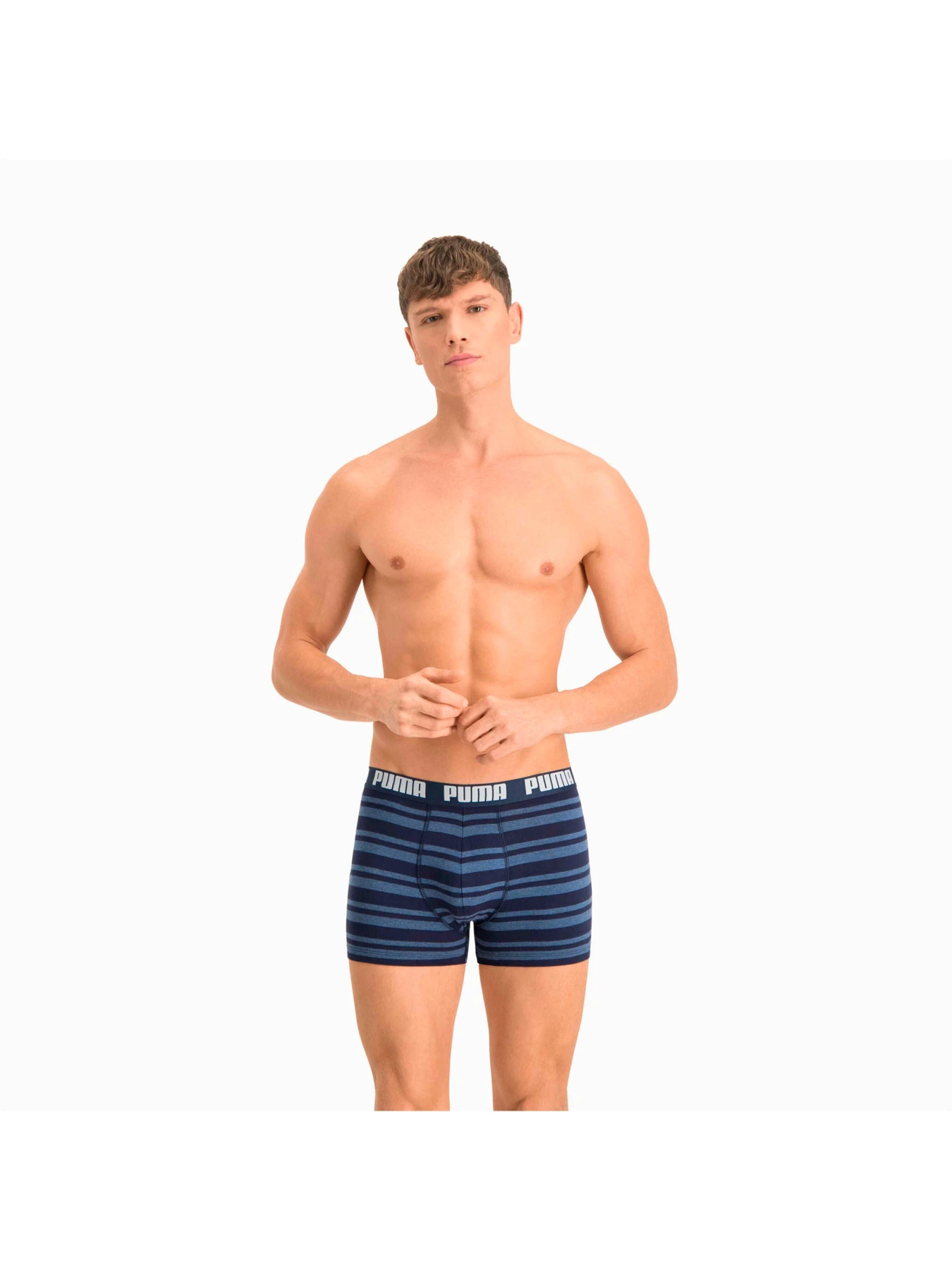 Нижня білизна PUMA Heritage Stripe Boxer 2 модель 907838 Нижня білизна PUMA Heritage Stripe Boxer 2 модель 907838 Фото