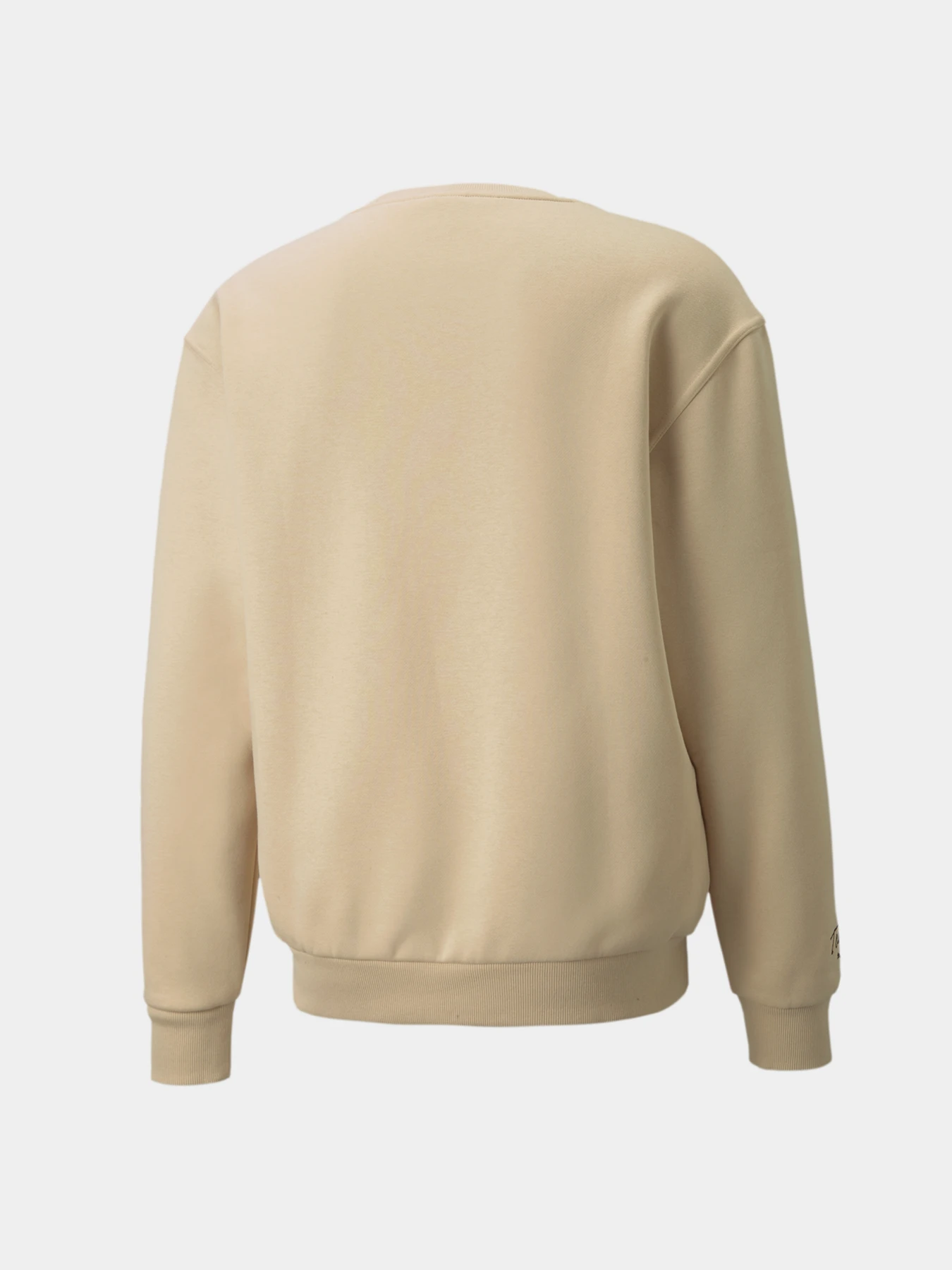 Худи и свитшоты PUMA Team Crew модель 534314 Фото