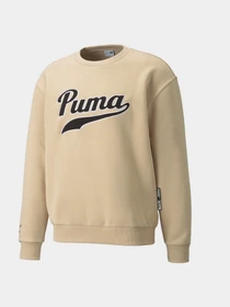 Худи и свитшоты PUMA Team Crew модель 534314 Фото