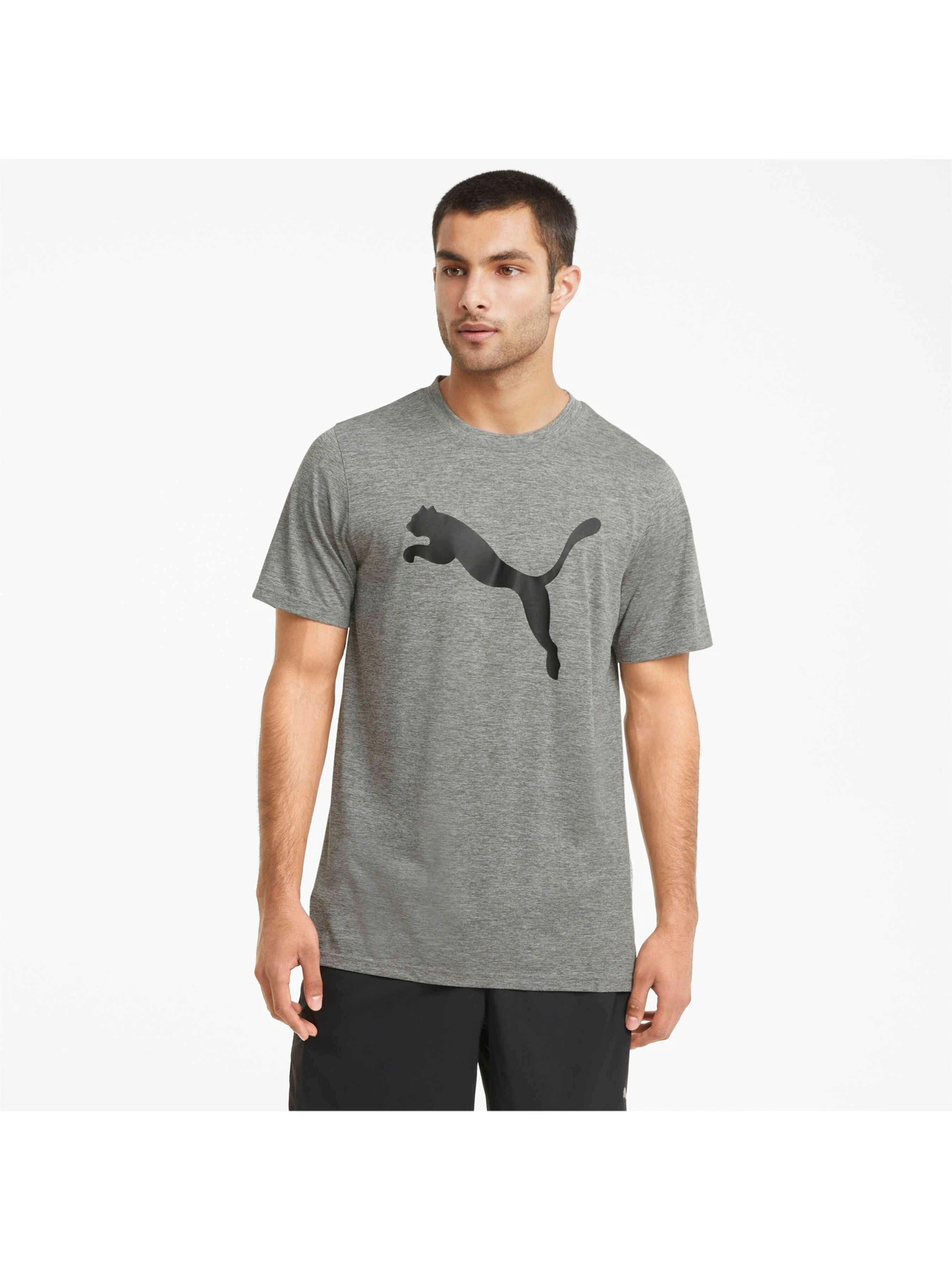 Футболки и поло PUMA Train Fav Heather Cat Ss Tee модель 520139 Футболки и поло PUMA Train Fav Heather Cat Ss Tee модель 520139 Фото