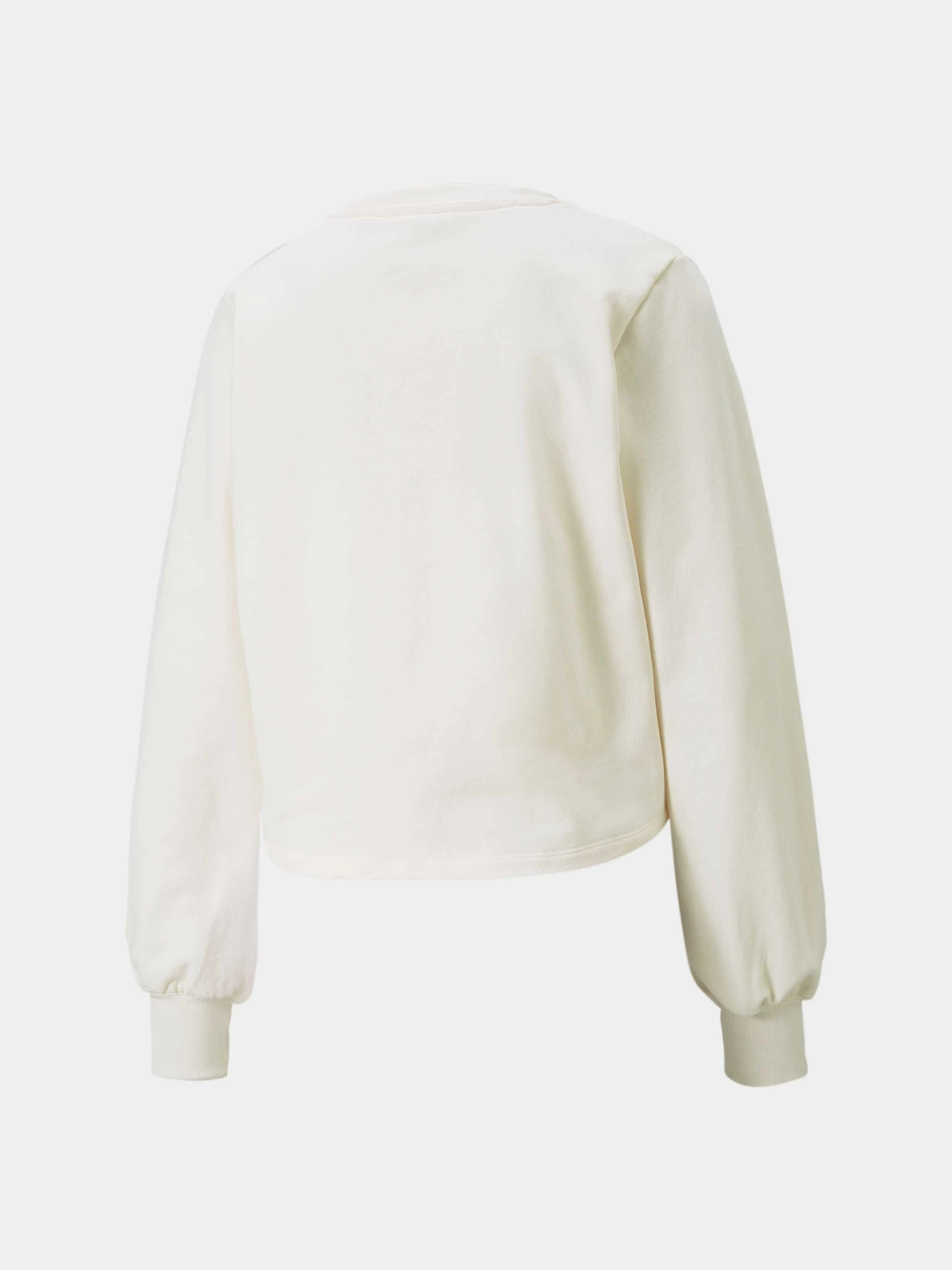 Худи и свитшоты PUMA модель 521469 Фото