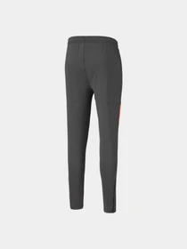 Брюки PUMA Teamliga Training Pants Pro модель 657332 Фото