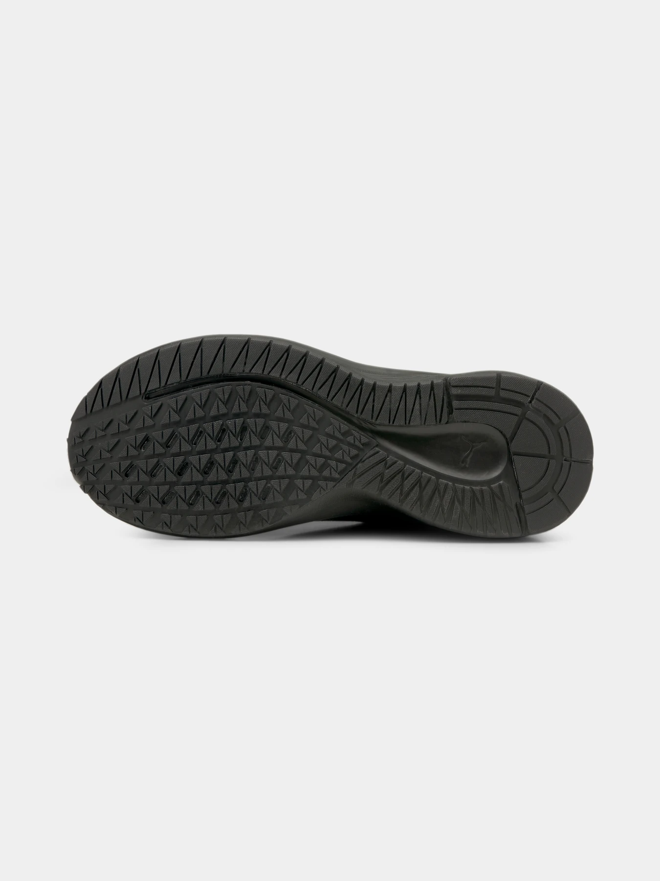 Кросівки PUMA Aviator Wtr модель 195506 Кросівки PUMA Aviator Wtr модель 195506 Фото