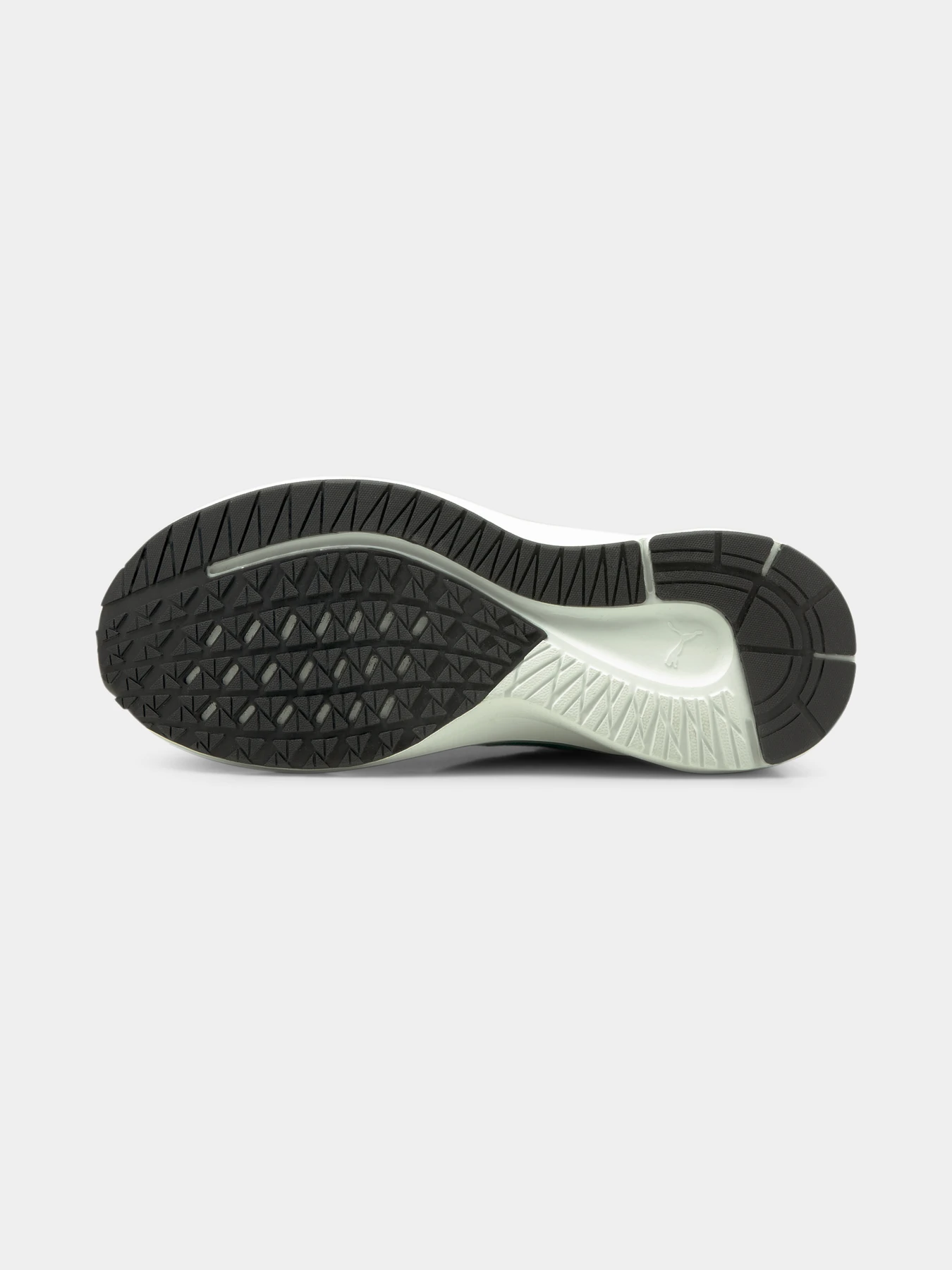 Кроссовки PUMA Aviator Wtr модель 195506 Фото