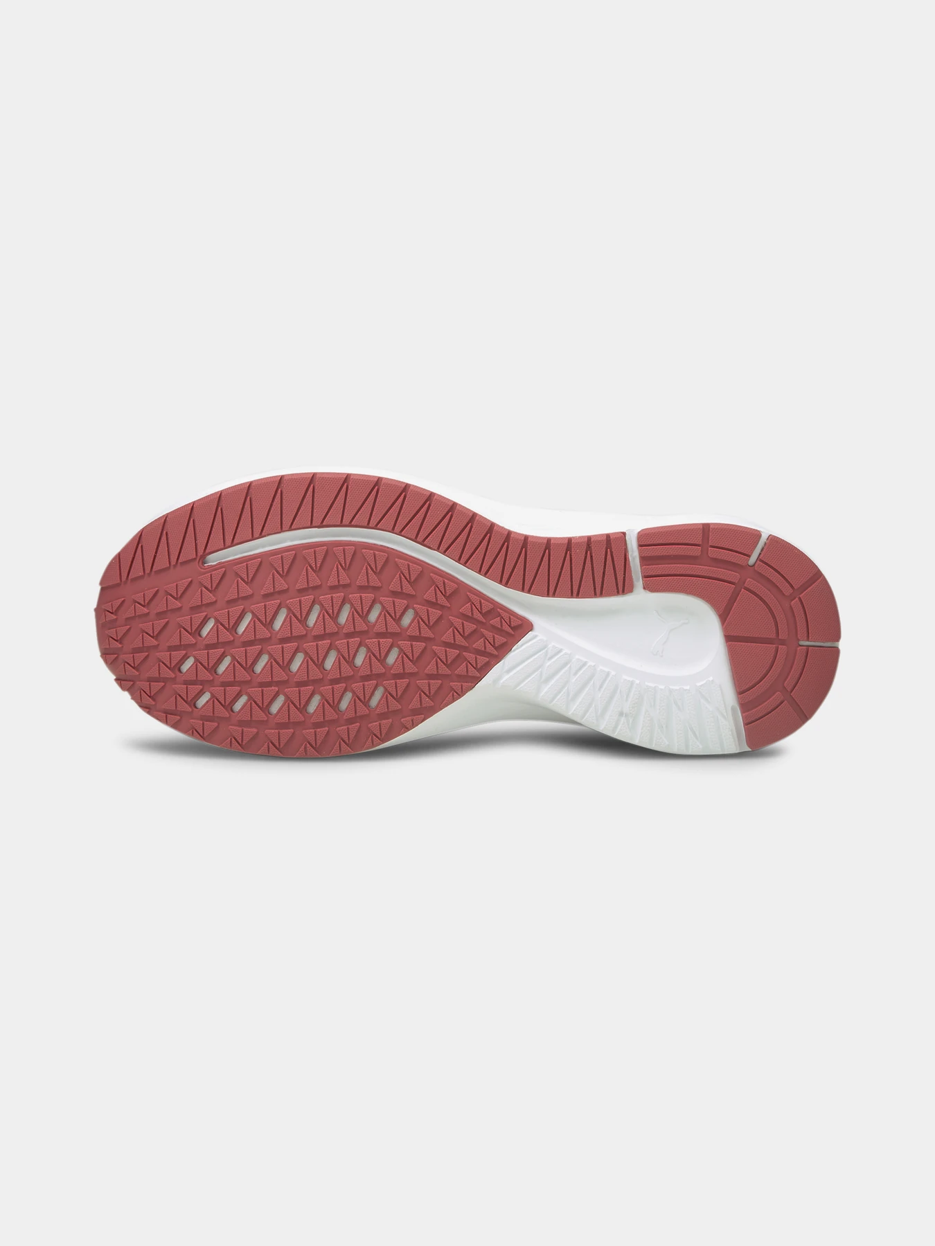Кроссовки PUMA Aviator Wtr модель 195506 Фото