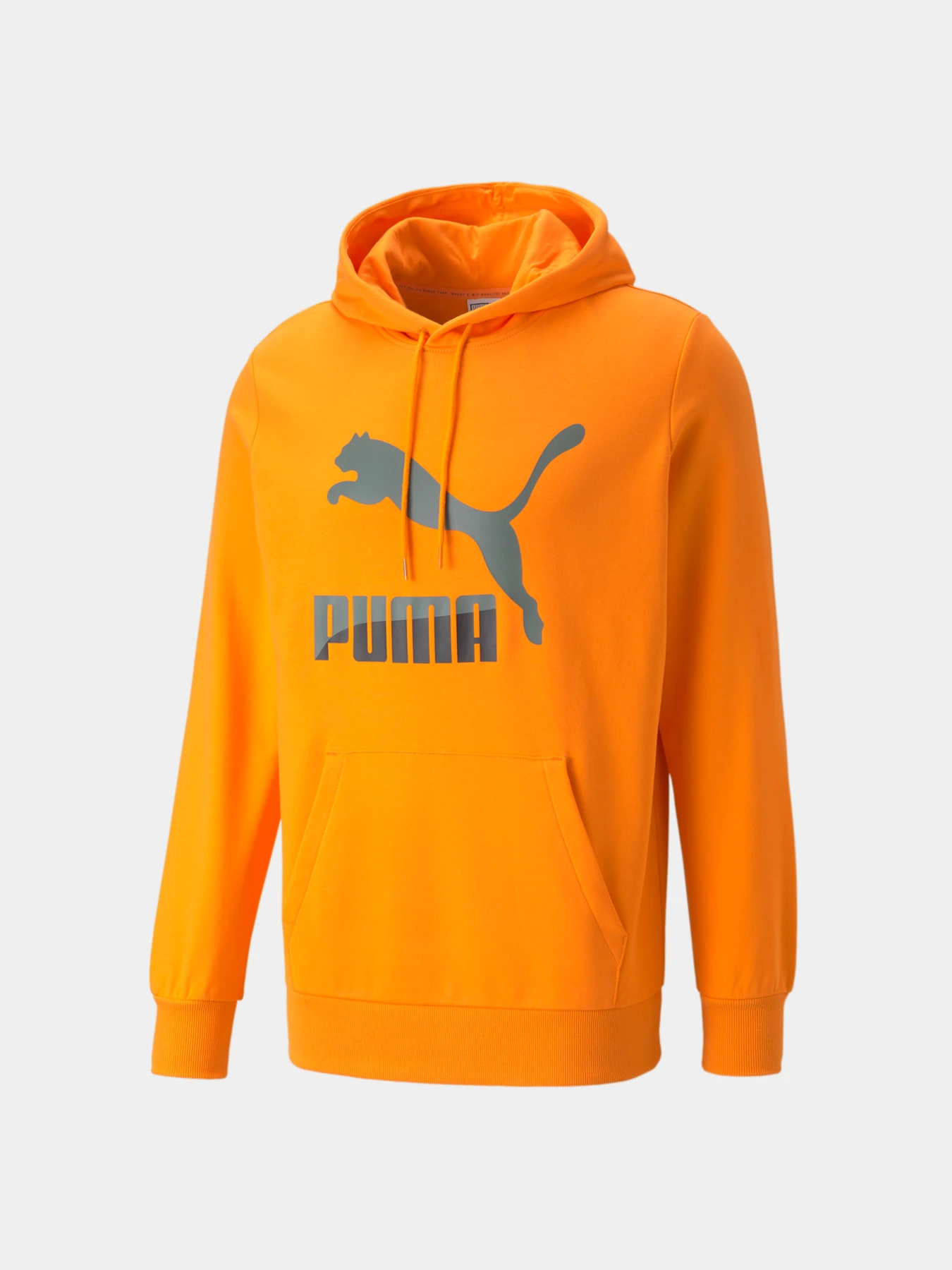 Худі та світшоти PUMA Classics Logo Hoodie Tr модель 530085 Фото
