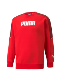 Худи и свитшоты PUMA модель 589473 Фото