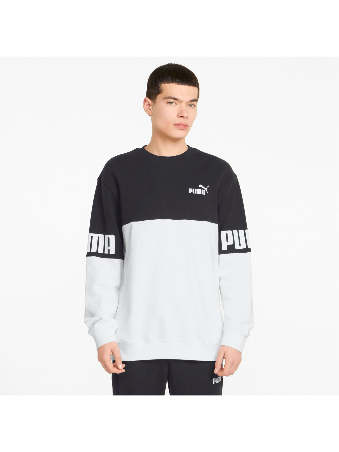 Худі та світшоти PUMA модель 848008 Худі та світшоти PUMA модель 848008 Фото