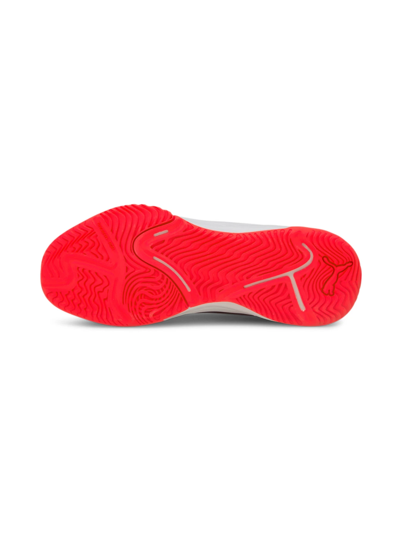 Кроссовки PUMA модель 106472 Кроссовки PUMA модель 106472 Фото