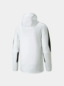 Куртки та дублянки PUMA Evostripe Full-zip Hoodie модель 847401 Фото