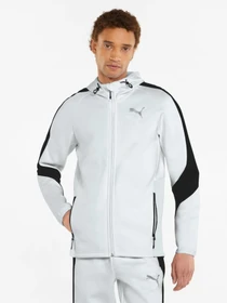 Куртки та дублянки PUMA Evostripe Full-zip Hoodie модель 847401 Фото