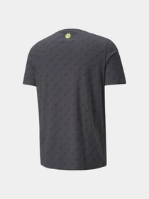 Футболки и поло PUMA Bvb Ftbllegacy Tee модель 765025 Фото